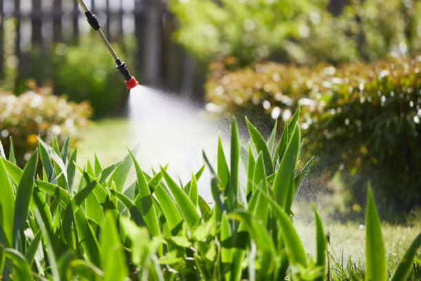 24/7 Emergency Fumigation Services experts in Fort Benton, MT
