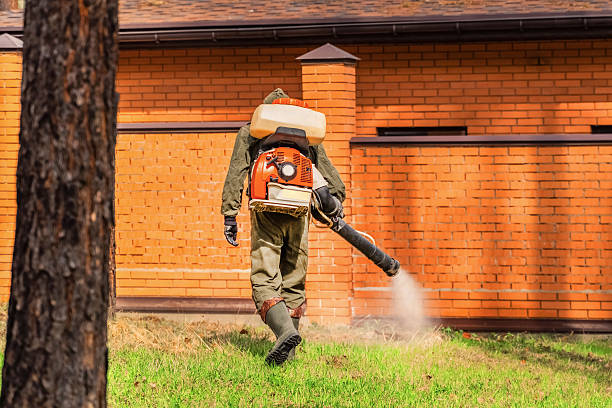 Trusted Emergency Pest Control service in Fort Benton, MT - Nex Pest Control